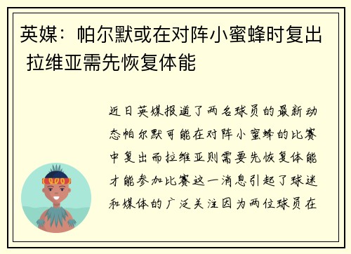 英媒：帕尔默或在对阵小蜜蜂时复出 拉维亚需先恢复体能